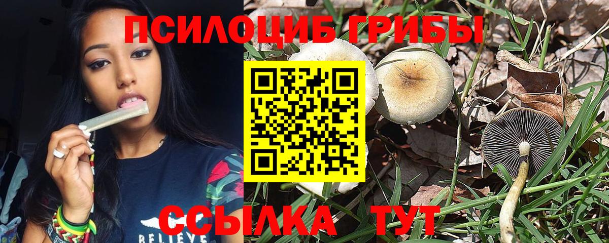Псилоцибиновые грибы MAGIC MUSHROOMS  Вход с VPN  Гусиноозёрск 