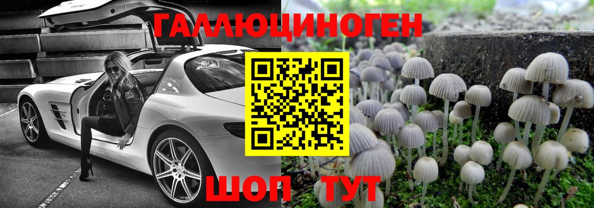 Псилоцибиновые грибы мицелий Гусиноозёрск